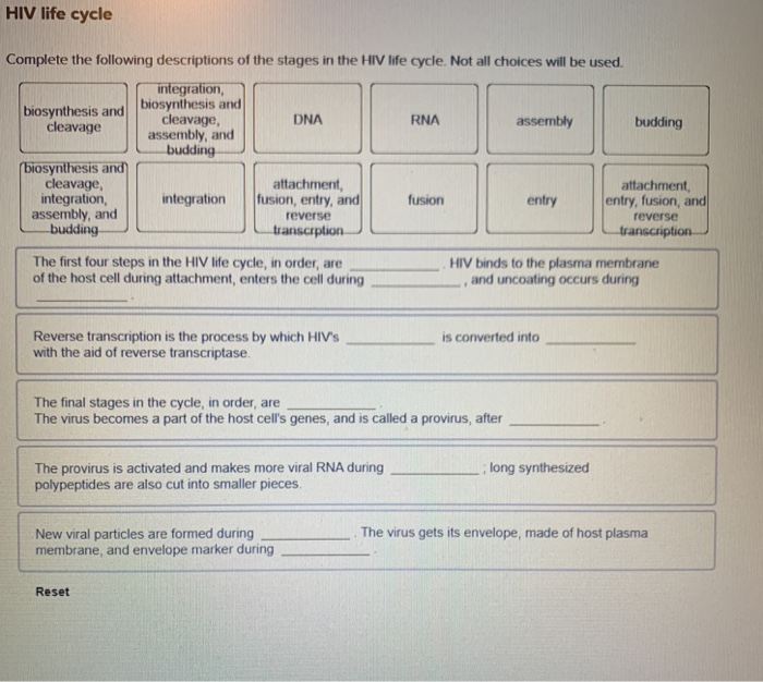 Solved HIV life cycle Complete the following descriptions of | Chegg.com