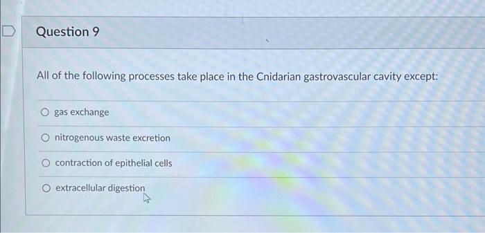 Solved Question 9 All of the following processes take place | Chegg.com
