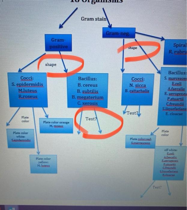 Solved I Need To Complete This I Posted 3 Pictures I Chegg Com