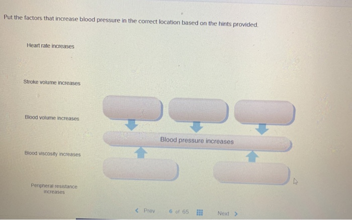 Solved Put the factors that increase blood pressure in the | Chegg.com
