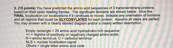 Solved 3. (15 points) You have predicted the amino acid | Chegg.com