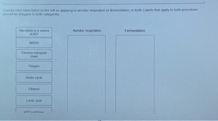 Solved Classify each label listed on the left as applying to | Chegg.com