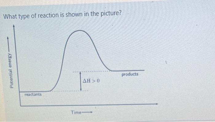 Solved What type of reaction is shown in the picture? | Chegg.com