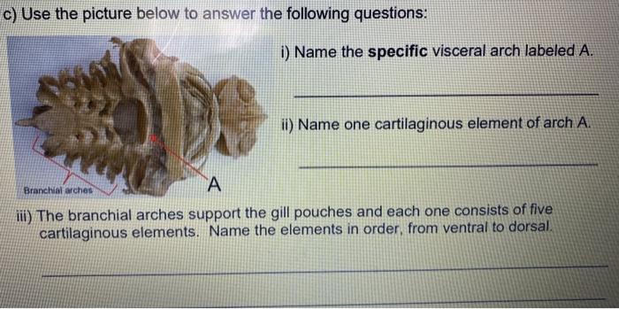 Solved b) Identify structures A, B, C & D. А. A: B: C: 00 C | Chegg.com