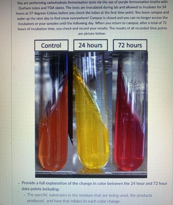 Solved You are performing carbohydrate fermentation tests
