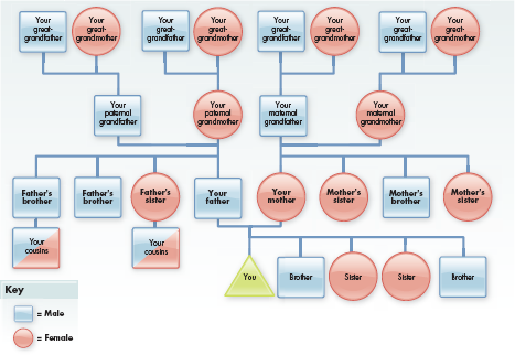 Create Your Family Tree for Health-Related ConcernsAdap... | Chegg.com