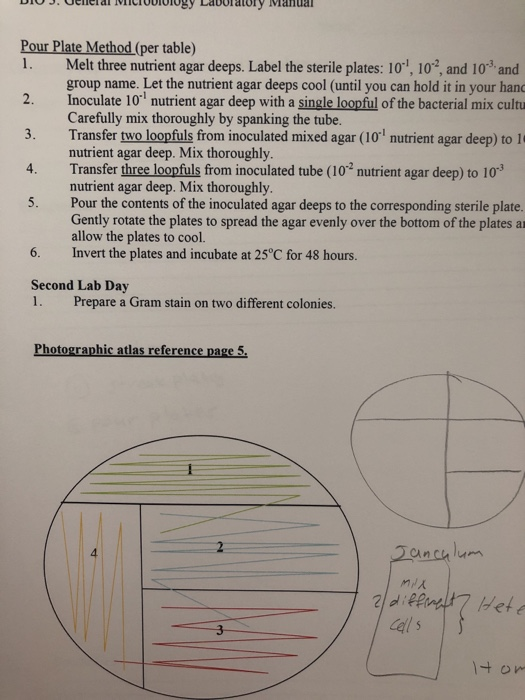 Solved After Reading This Information About The Lab Manual Chegg Com