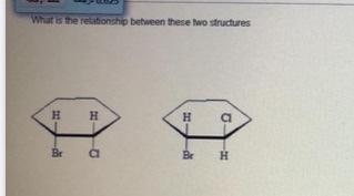 Solved What is the relationship between these two structures | Chegg.com