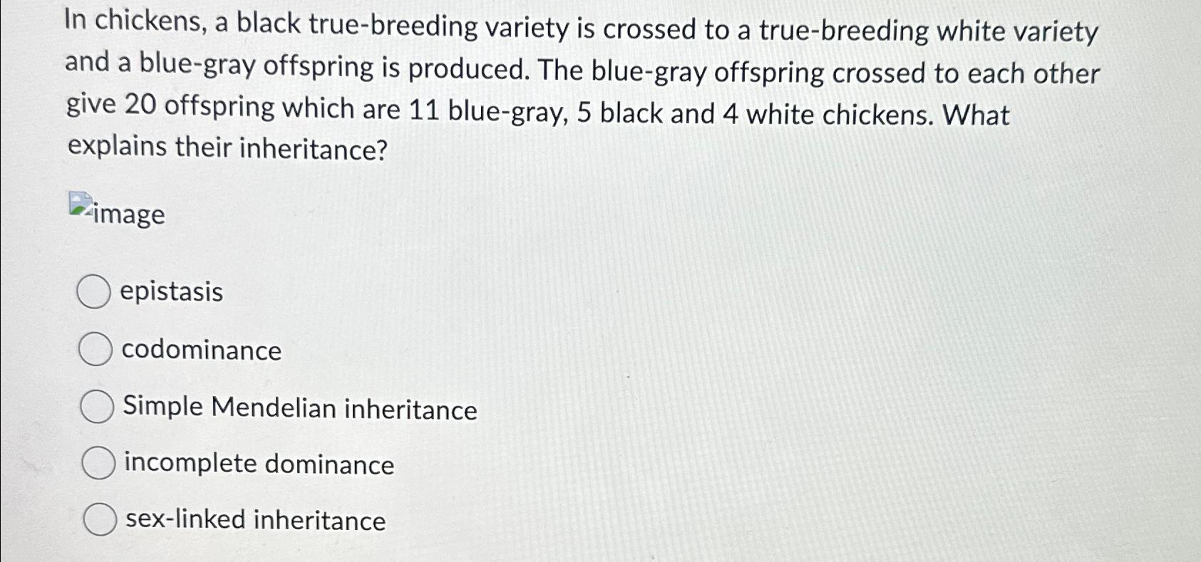 Solved In chickens, a black true-breeding variety is crossed | Chegg.com