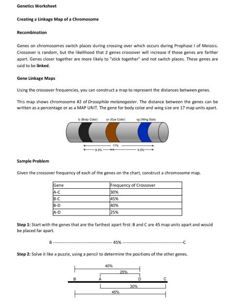 Section 11 5 Linkage And Gene Maps Answers Solved Genetics Worksheet Creating A Linkage Map Of A | Chegg.com