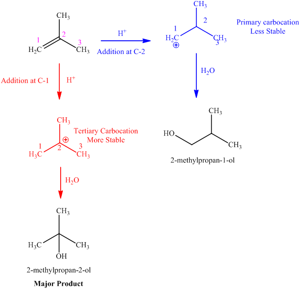Solved When 2 Methylpropene Reacts With Water And An Acid Cata Chegg Com