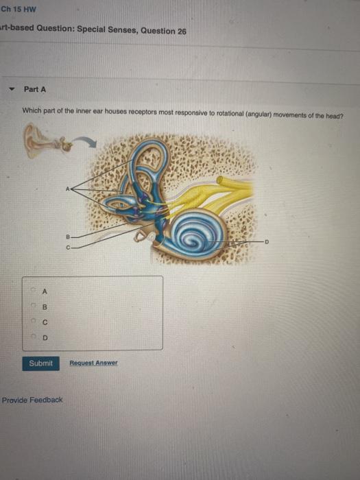 Solved Ch 15 HW artbased Question Special Senses, Question