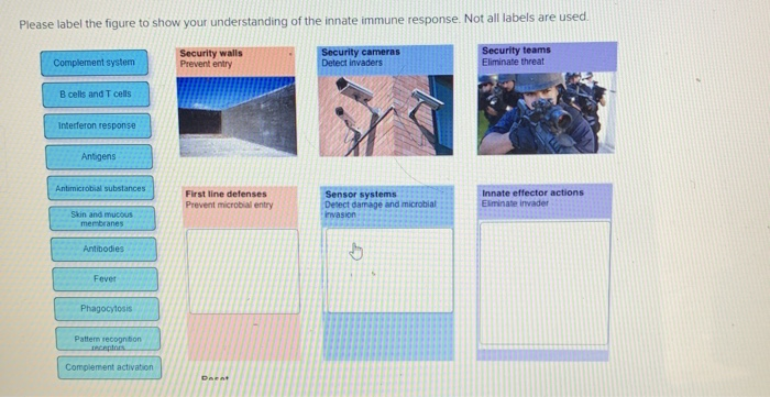Solved Please label the figure to show your understanding of | Chegg.com