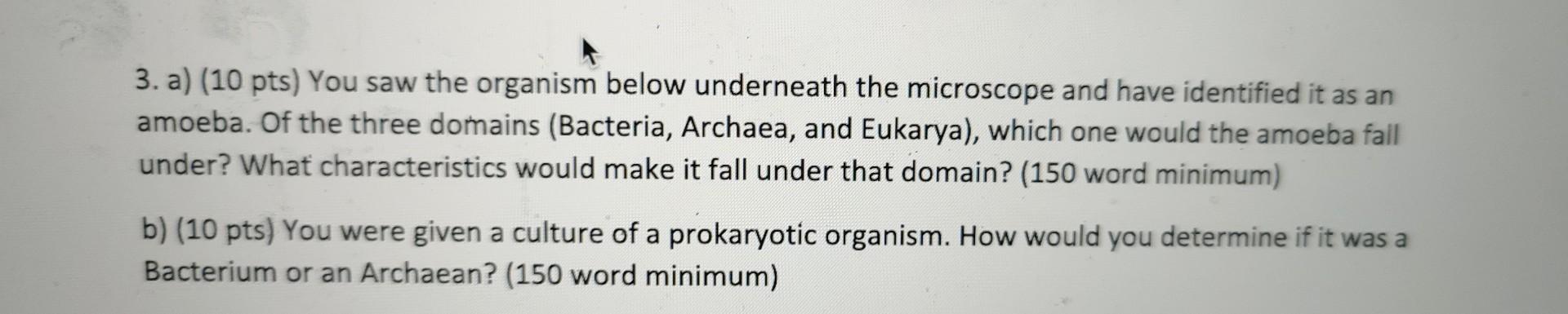 Solved answer both please. answer best as possible and | Chegg.com