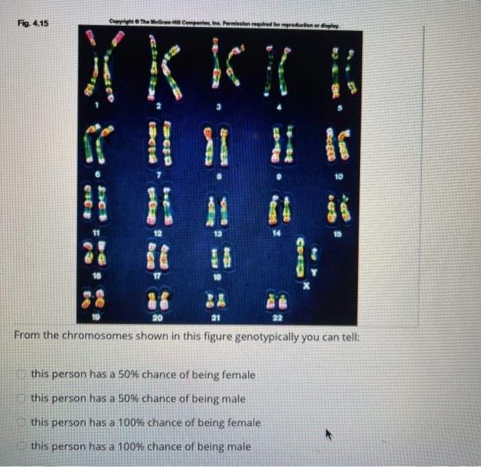 Solved Fig 4 15 Ce 31 10 Hi 21 20 From The Chromosomes Chegg Com   Image