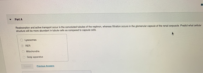 solved-part-a-reabsorption-and-active-transport-occur-in-the-chegg