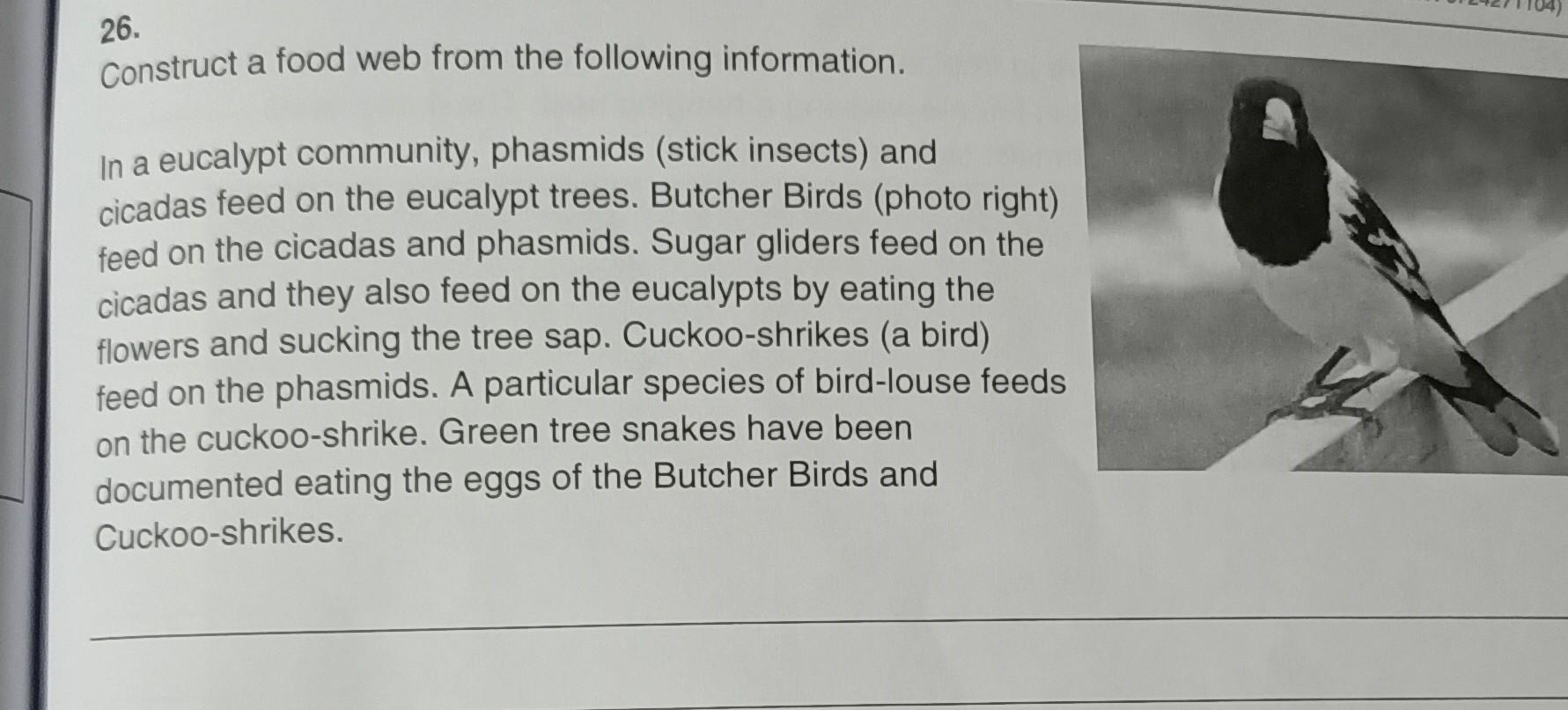 Solved 26. Construct A Food Web From The Following 