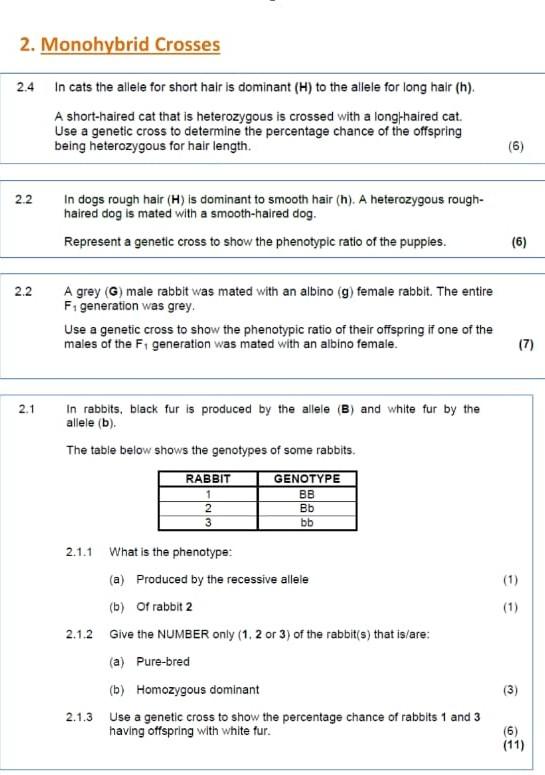 Solved 2.4 In cats the allele for short hair is dominant (H) | Chegg.com