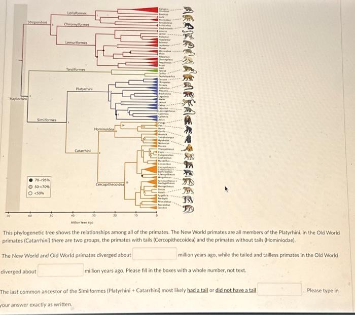 Solved This phylogenetic tree shows the relationships among | Chegg.com