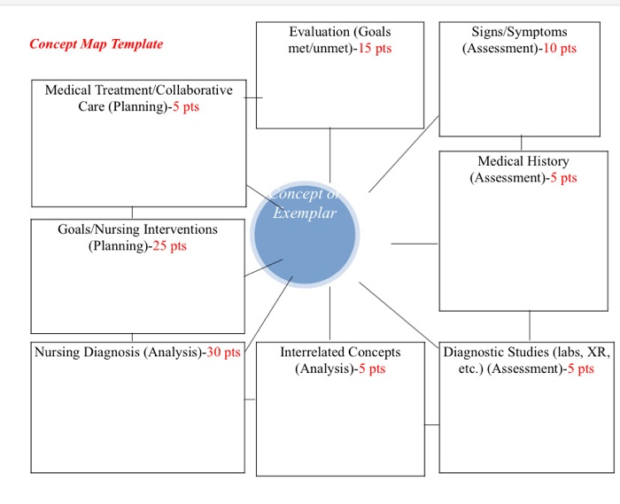 Solved Complete Concept Map With One Nanda Nursing Diagno