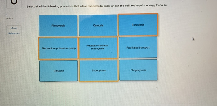Solved Select all of the following processes that allow | Chegg.com