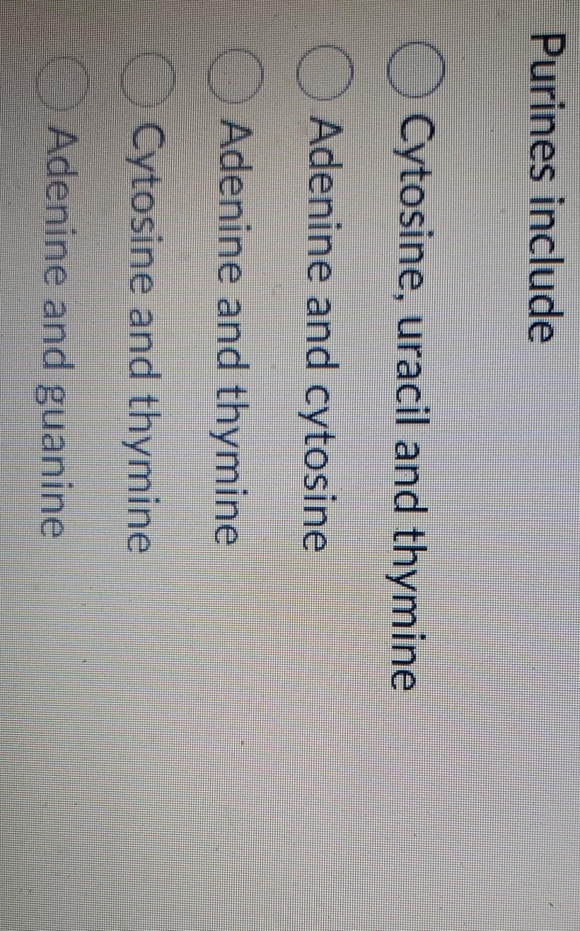 chargaff's rules for nitrogen base pairing