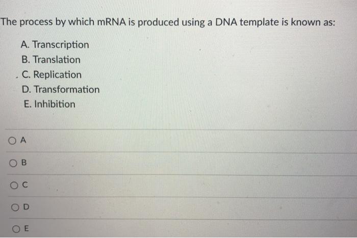 Solved All of the following processes take place in the | Chegg.com