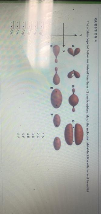 Solved QUESTION 4 The orbitals depicted below are derived | Chegg.com