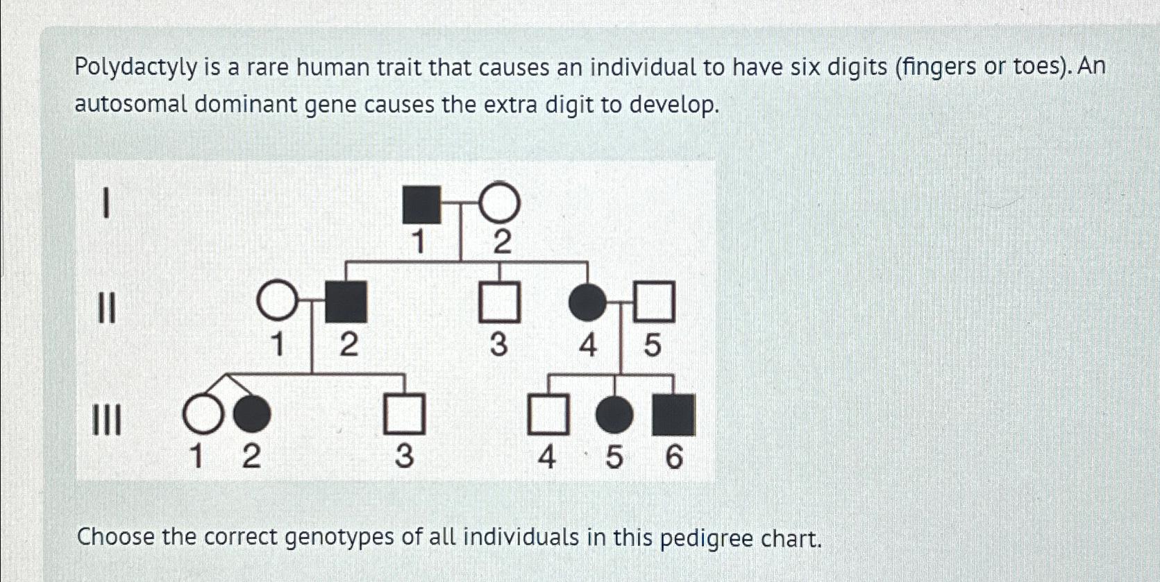 Solved Polydactyly is a rare human trait that causes an | Chegg.com