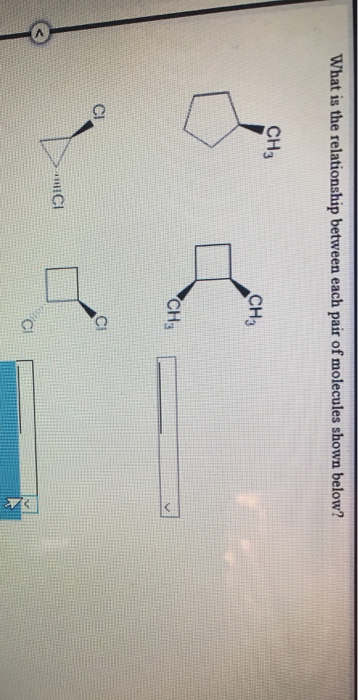 Solved What Is The Relationship Between Each Pair Of