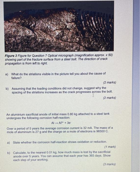 Solved Figure 2 Figure for Question 7 Optical micrograph | Chegg.com