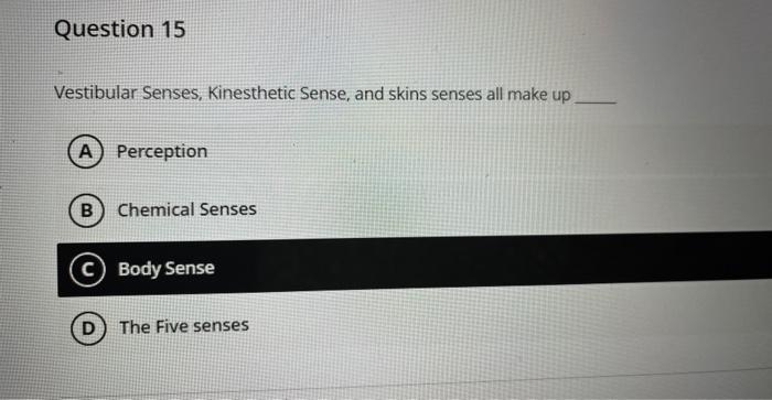 Vestibular Senses, Kinesthetic Sense, and skins senses all make up
Perception
Chemical Senses
Body Sense
The Five senses