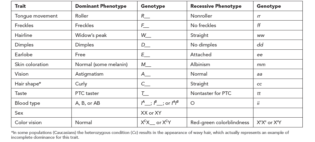 Enter Your Test Results For Genotypes And Phenotypes In Chegg Com