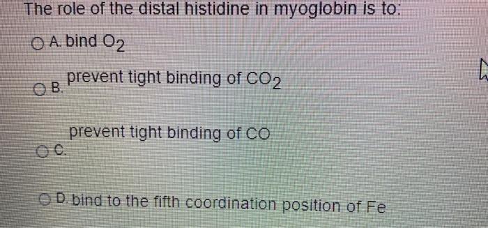Solved The role of the distal histidine in myoglobin is to: | Chegg.com
