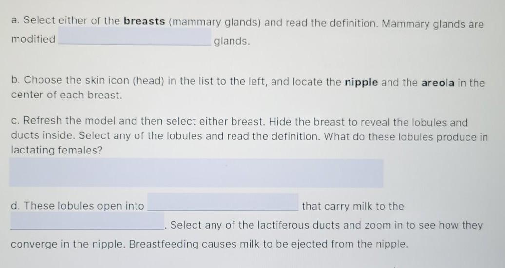 Synonyms for Breasts starting with letter D