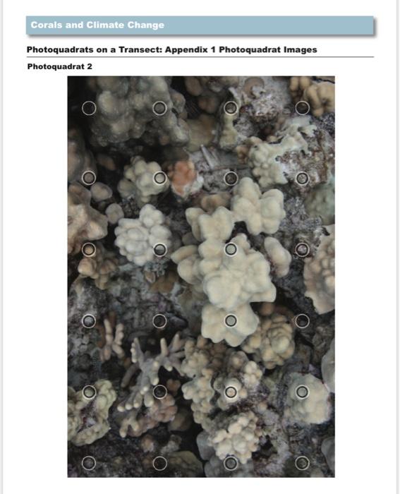 Photoquadrats on a Transect: Student Guide When | Chegg.com