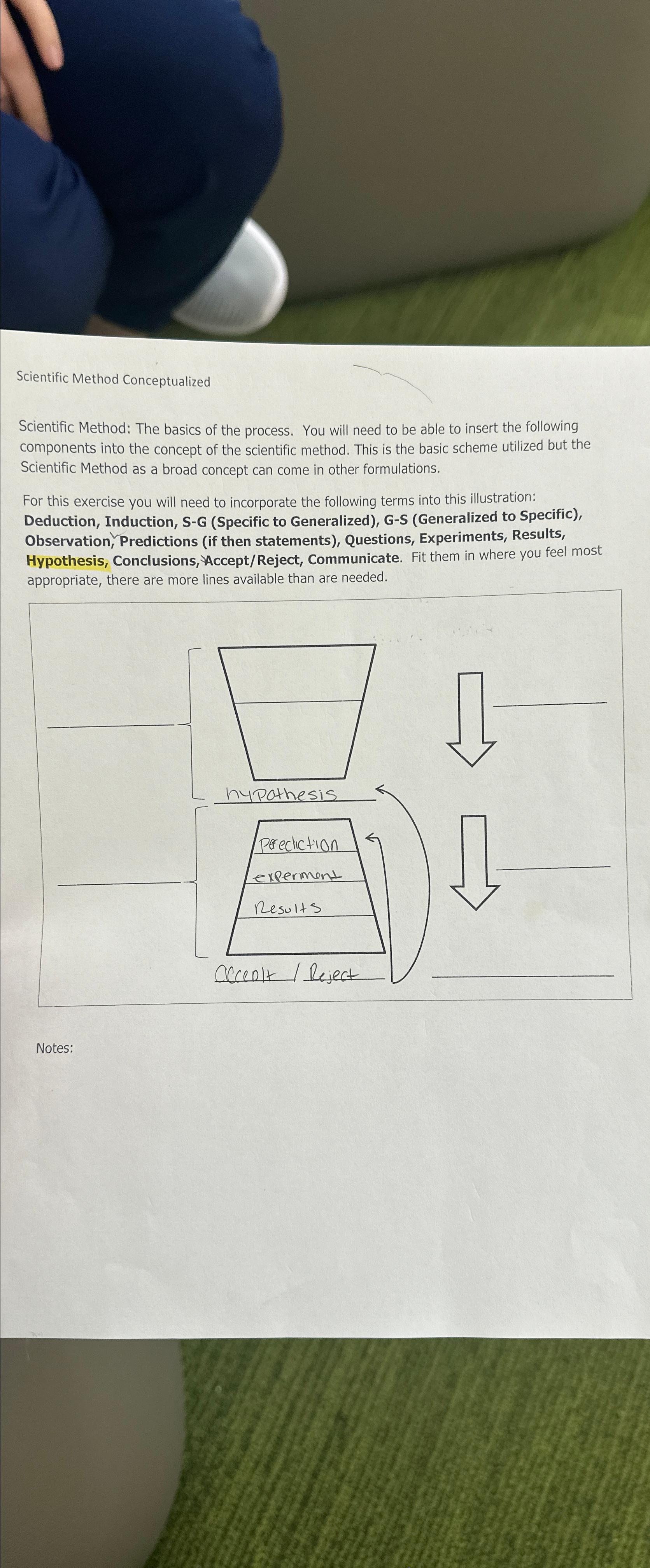 Solved Scientific Method ConceptualizedScientific Method: | Chegg.com