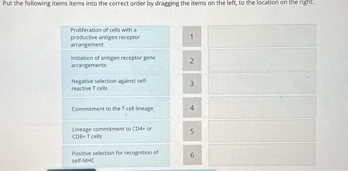 Solved Put the following items items into the correct order | Chegg.com