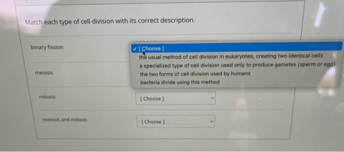 Solved Match each type of cell division with its correct | Chegg.com