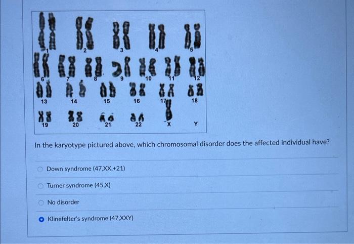 Solved Looking at chromosomes 2 and 22 in the above spectral | Chegg.com