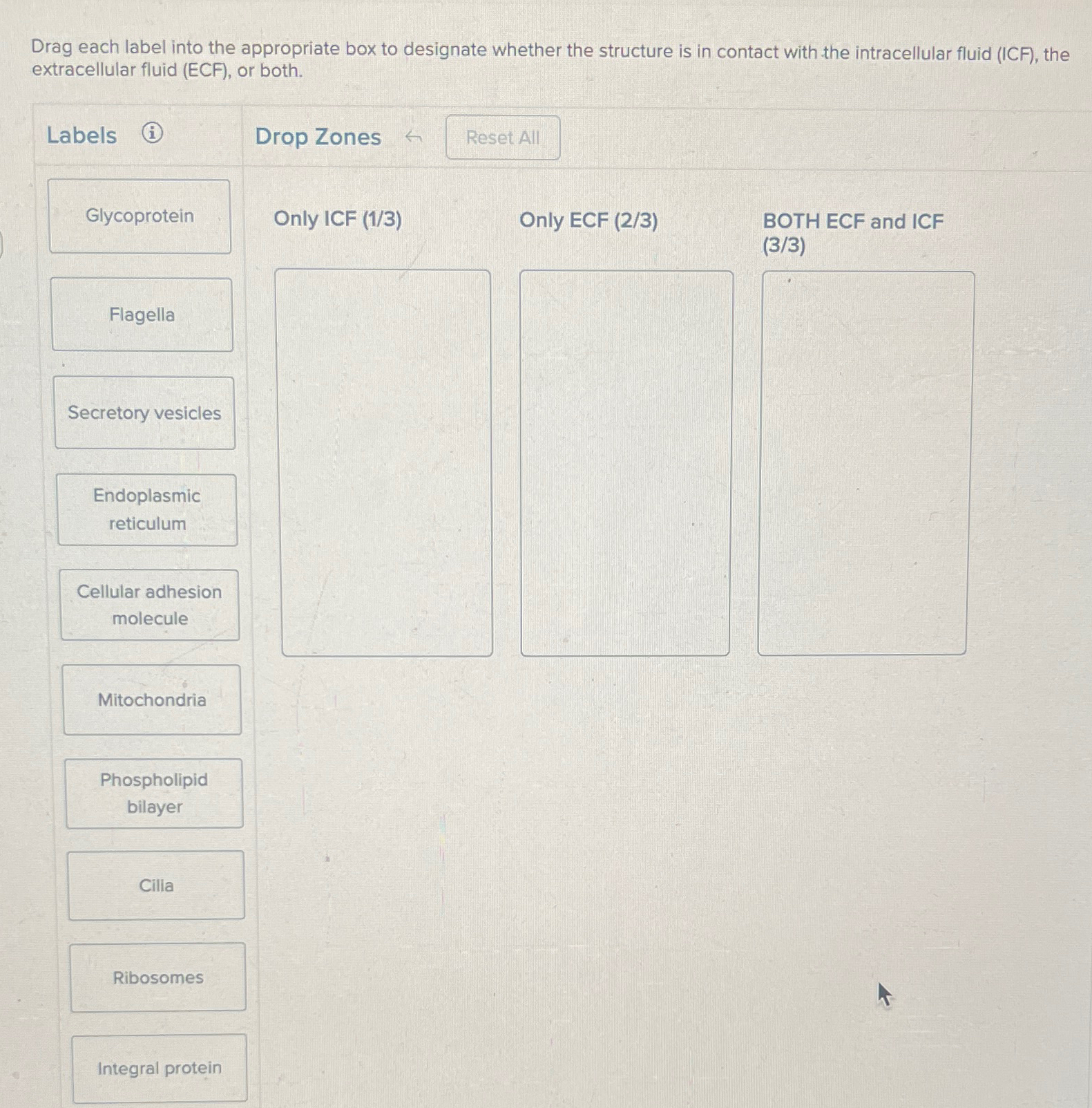 Solved Drag each label into the appropriate box to designate | Chegg.com