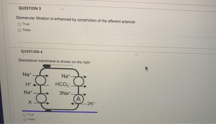 Solved QUESTION 3 Glomerular filtration is enhanced by | Chegg.com