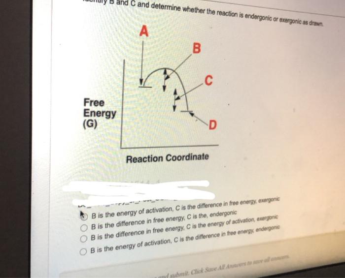 Solved And B Is Exothermic Both A And B Are Endothermic | Chegg.com