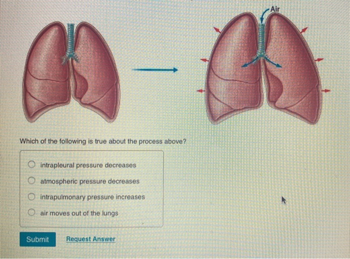 Solved Air Which of the following is true about the process | Chegg.com