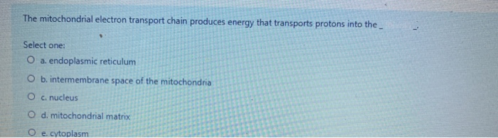 Solved The mitochondrial electron transport chain produces | Chegg.com
