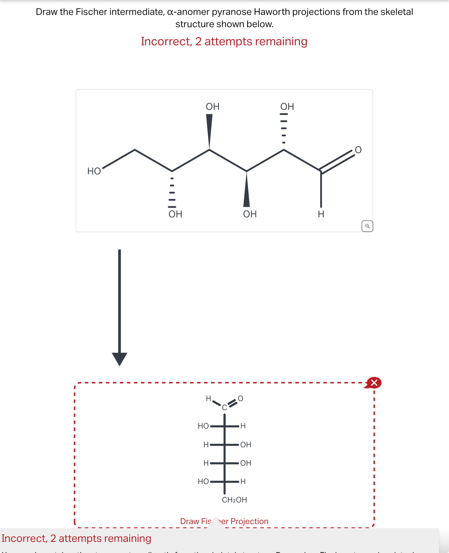 Solved Draw the Fischer intermediate, α-anomer pyranose | Chegg.com