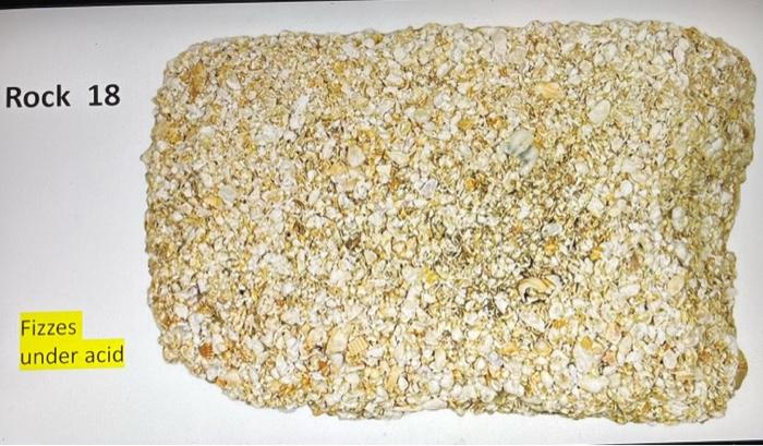 Solved Rock 1 Rock 2 Rock 4 Slight fizz under acid Rock | Chegg.com