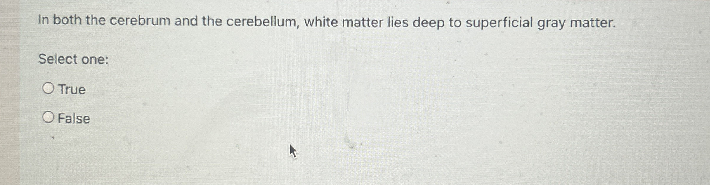 Solved In both the cerebrum and the cerebellum, white matter | Chegg.com