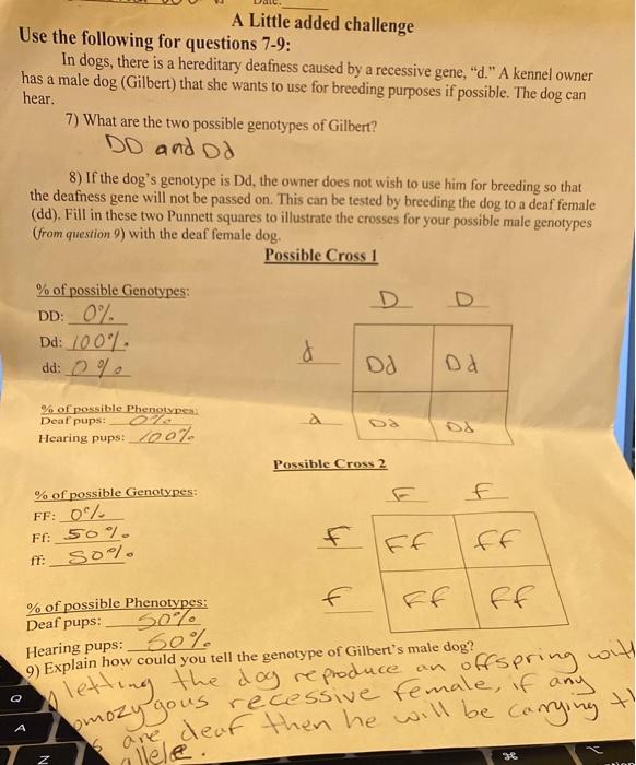 A Little added challenge Use the following for