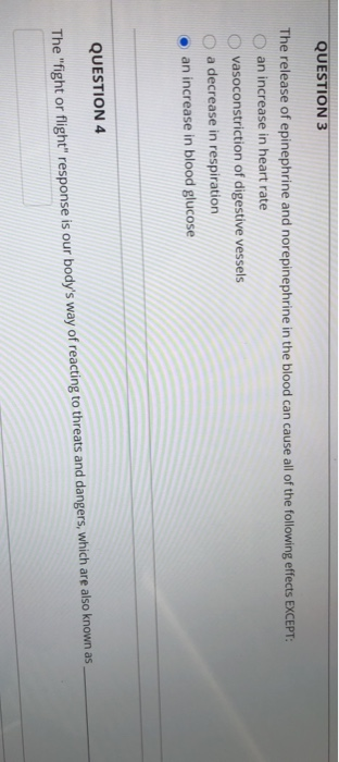 Solved QUESTIONS During the stress response, activation of | Chegg.com